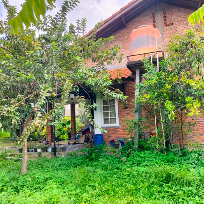 Dijual Rumah Kampung murah dekat taman buah mekarsari