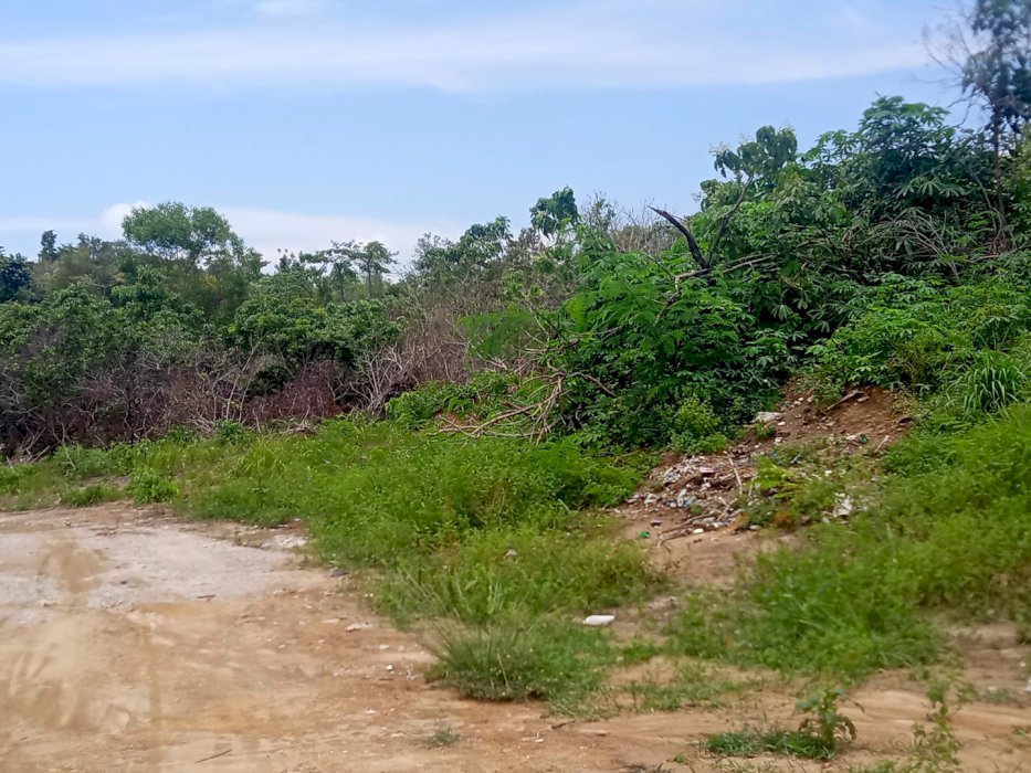 Luas tanah 1,8 hektar lokasi dekat pantai pelawan