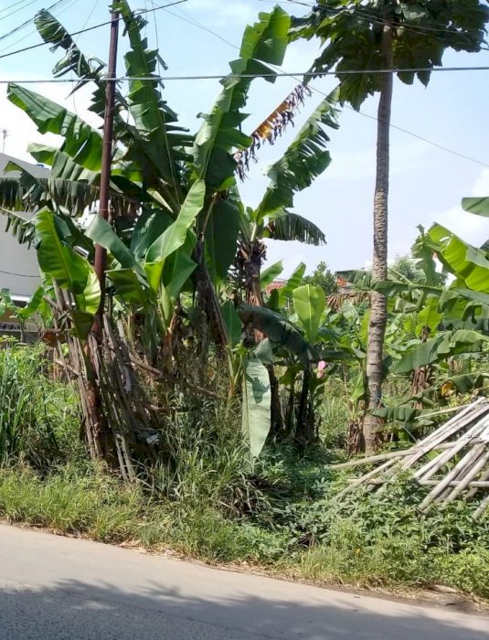 Sewa Tanah Kosong Di Jalan Pameuntasan - Kopo Katapang !