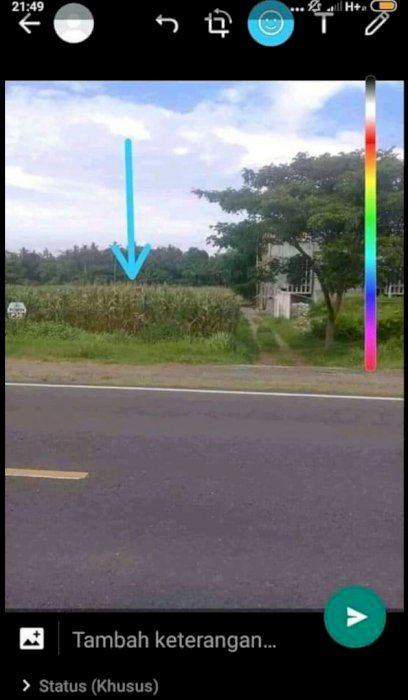 jual tanah mangku jalan raya dandeles jalur selatan