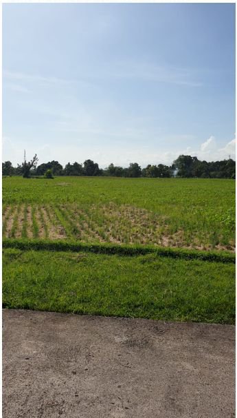 Tanah di pantai Nyanyi Tabanan