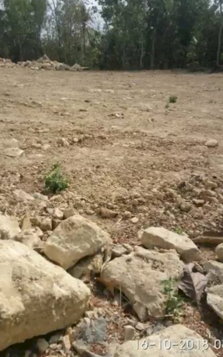 Tanah pekarangan di kadibeso Sedayu Bantul