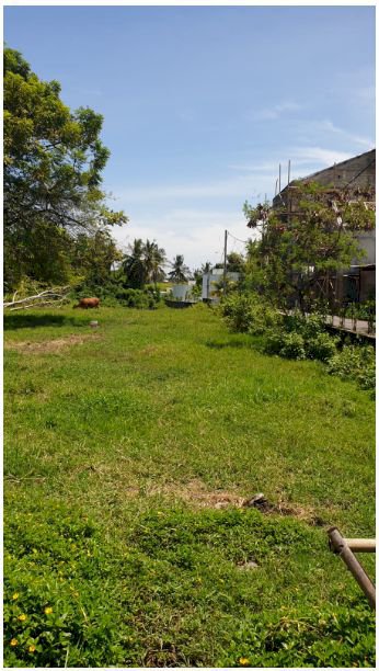 Tanah Dkt Pantai Pererenan