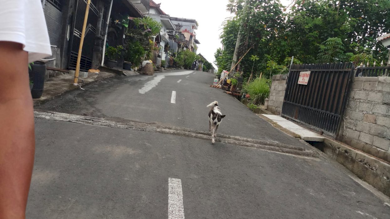 TANAH MURAH PERUMAHAN PEGENDING DALUNG KUTA UTARA