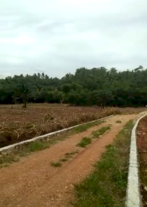 Dijual CEPAT TANAH PINGGIR Jalan Desa