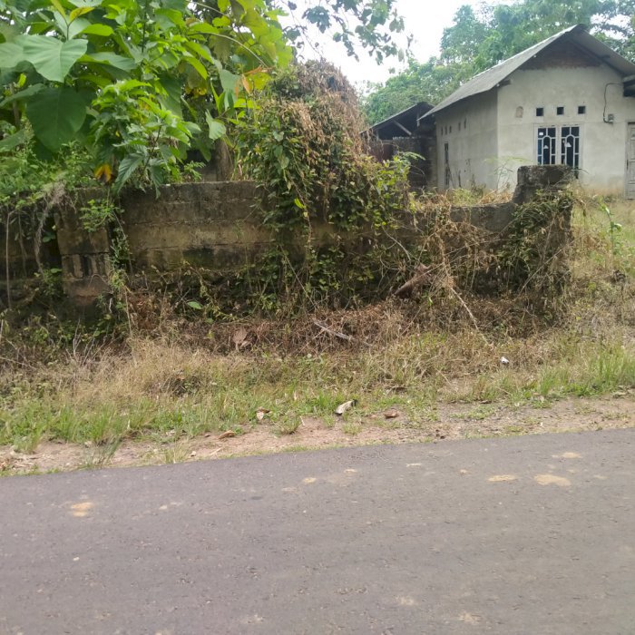 Dijual Tanah dan Bangunan Kandang sapi