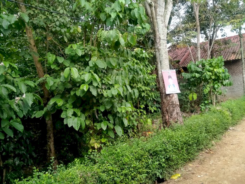 Dijual cepat tanah Dekat Pasar Way Kandis