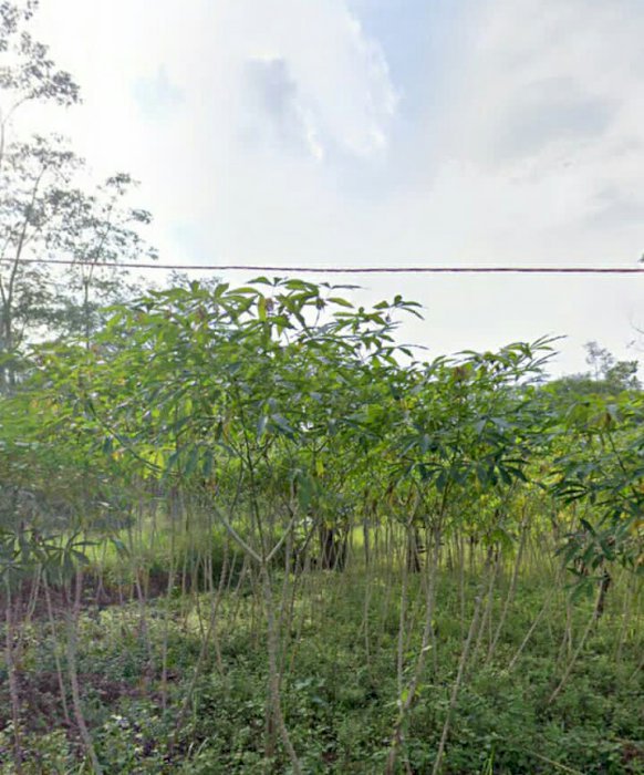 Dijual Cepat Tanah Dekat RSUD