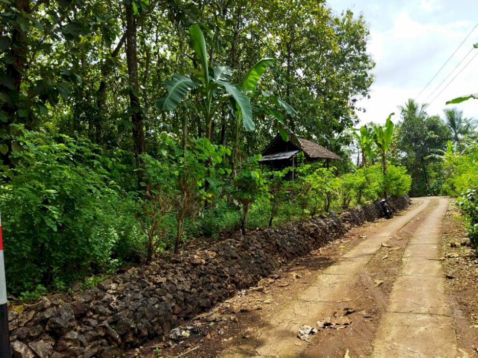 Dijual Tanah Murah Buat Invest Di Girisekar Yogyakarta