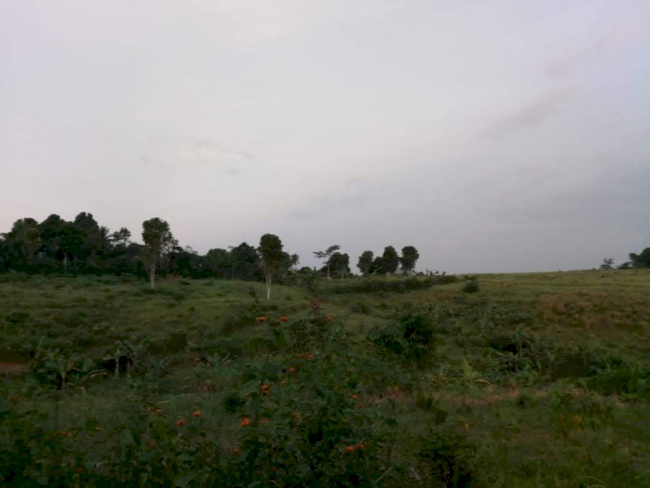 JUAL TANAH KOSONG +- 61.000 m2