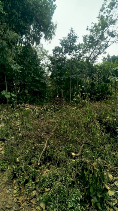 dijual tanah 850 rb permeter