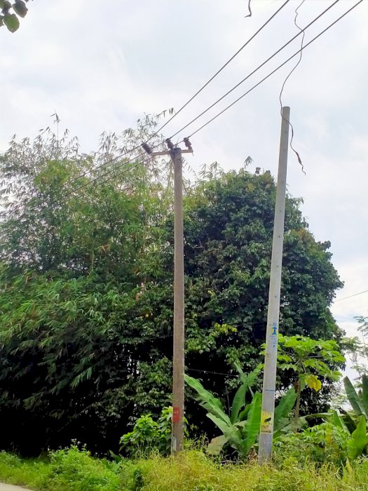 Jual tanah di daerah Banten kab. Lebak