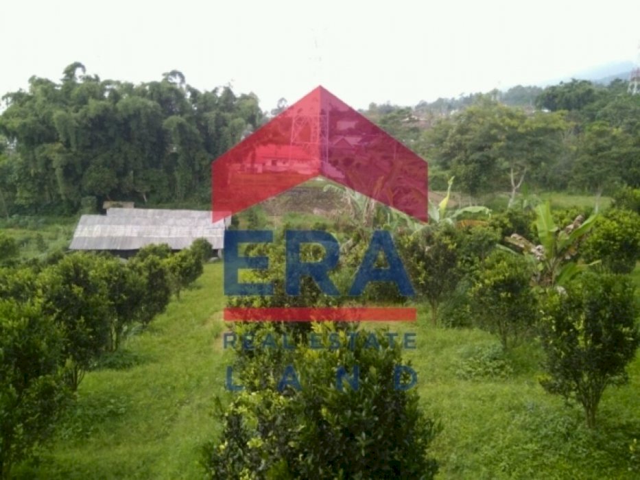 Dijual Tanah Oro Oro Ombo Oro-Oro Ombo Batu Oro-oro Ombo, Batu