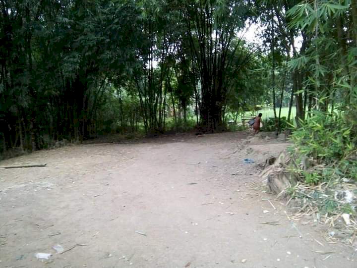 Tanah kebun bambu seluas 33bata