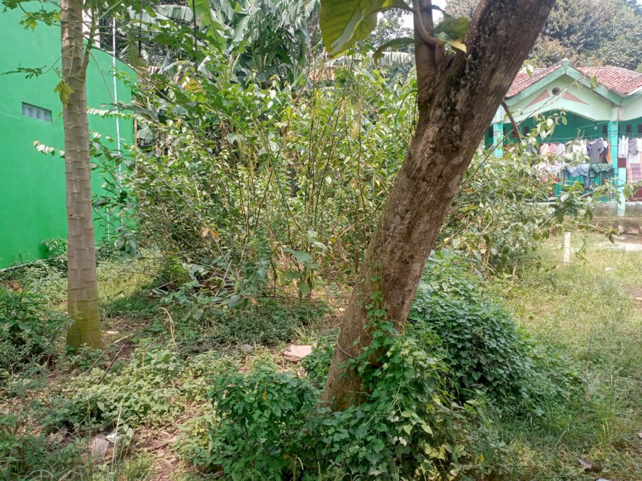 Jual tanah daerah Cisauk