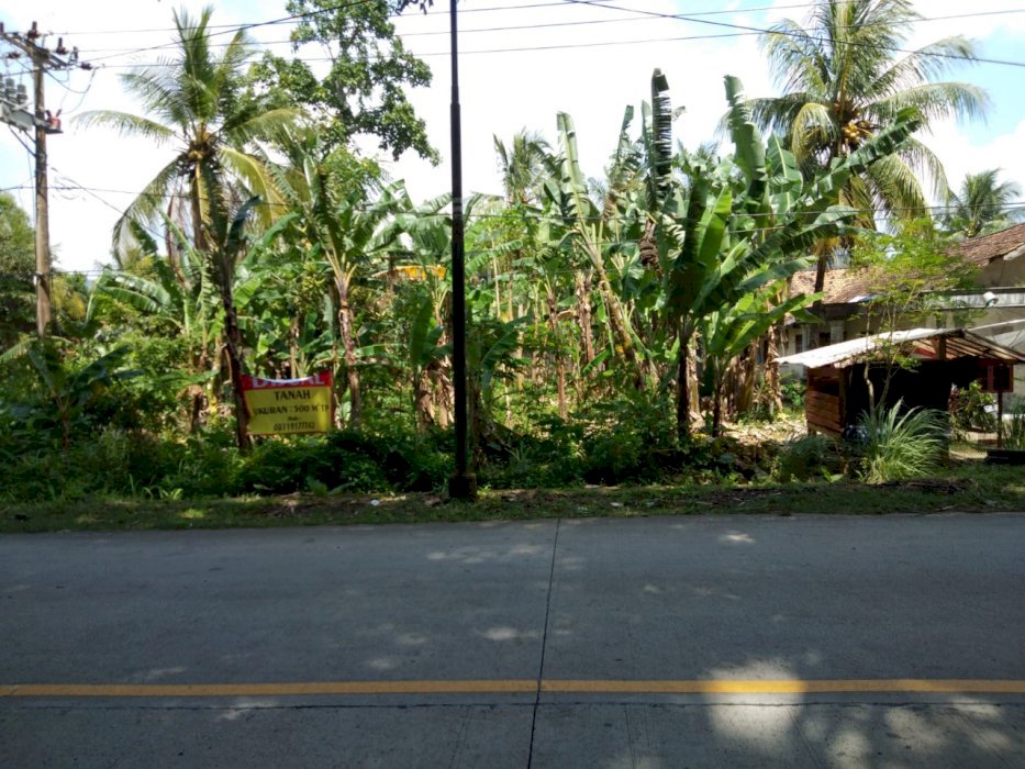 JUAL TANAH LOKASI SANGAT STRATEGIS DIPINGGIR JALAN RAYA, BANTEN