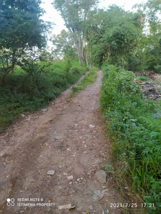 Dijual tanah shm di maguwoharjo depok sleman DI yogyakata