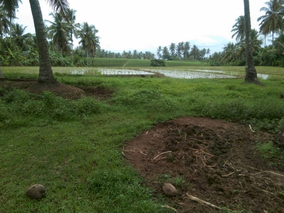 DIJUAL TANAH 34 ARE OCEAN VIEW