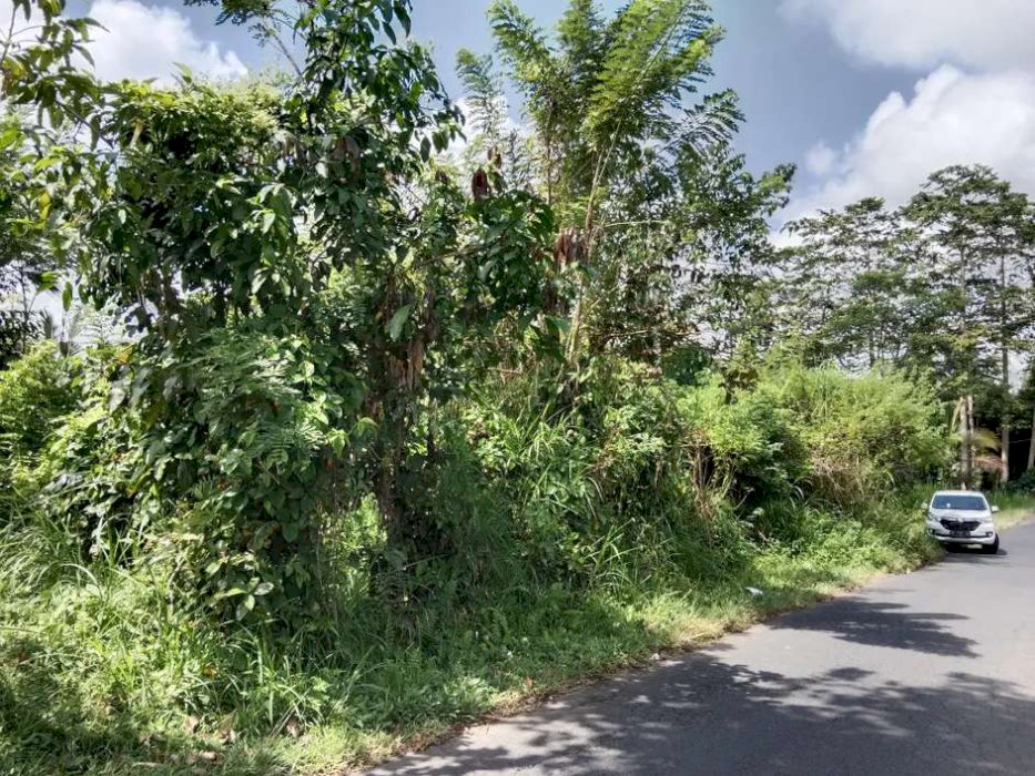 Dijual tanah ls 11 are ubud sebatu murah