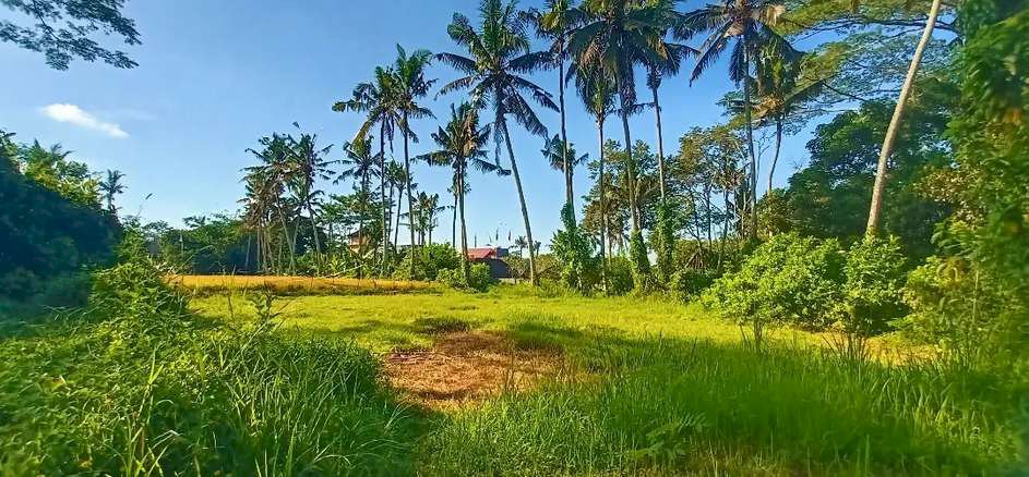 Dijual tanah ls 60 are di ubud view jungle