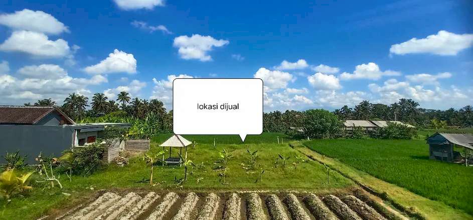 Tanah kecil di ubud ls 2 are murah