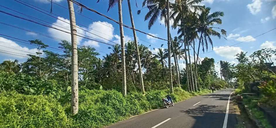 Dijual tanah luas 16 are daerah ubud