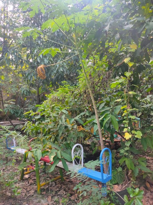 Jual Tanah 440mÂ² Malaka Jaya