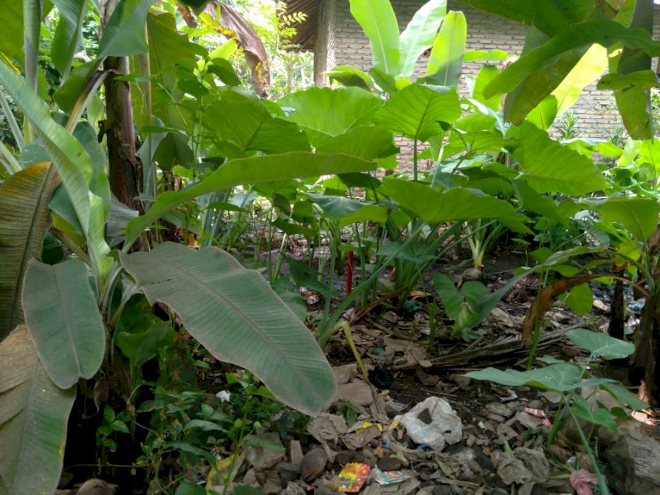 Dijual Cepat Tanah kavling