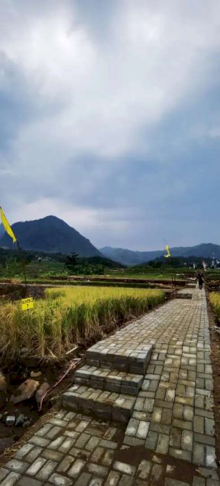 Tanah Kavling Wisata Produktif Indah Viral Best Seller Dekat Jakarta