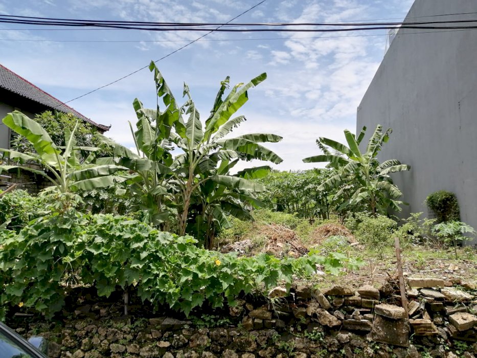 Dijual Tanah Strategis Dilingkungan Perumahan Elite Jimbaran