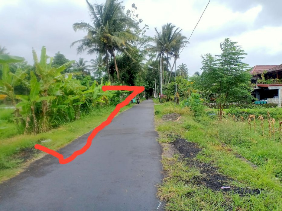 Jual Murah Tanah Pekarangan Lokasi Jl Kaliurang km 12