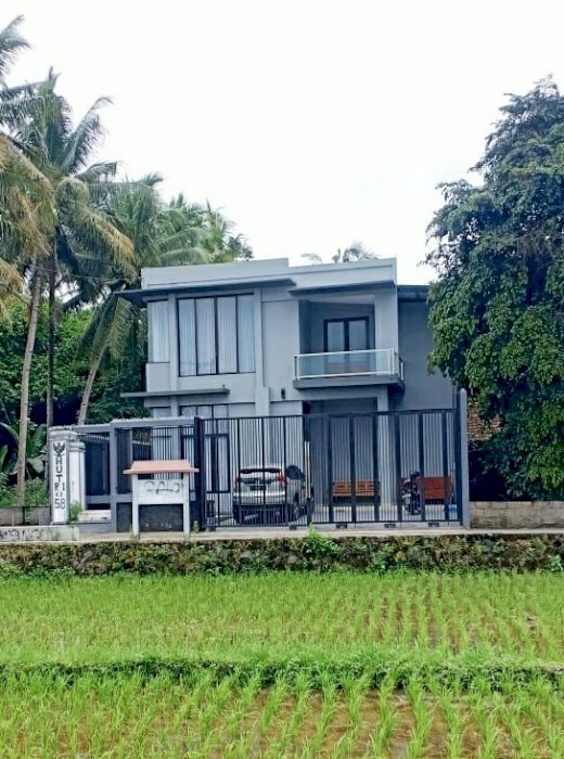 Rumah Nyaman View Sawah lokasi Cebongan