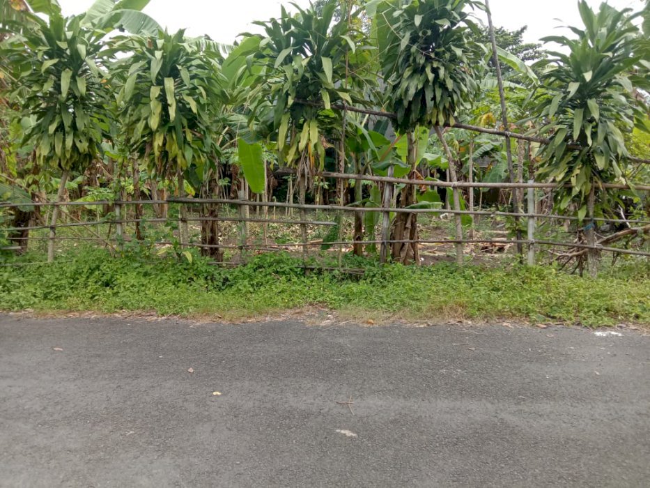 Di jual Tanah Pekarangan Lokasi Barat UPN Jl Ring road Utara