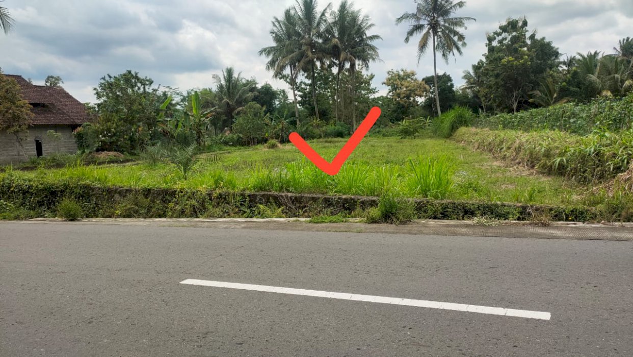 Dijual Tanah Sawah jl Pakis Aji - Pakem