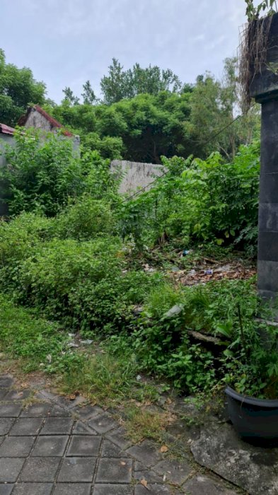 Harus terjual cepat cocok untuk usaha guest house lokasi jimbaran