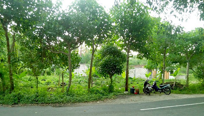 Dijual Tanah Area Ped Nusa Penida Bali