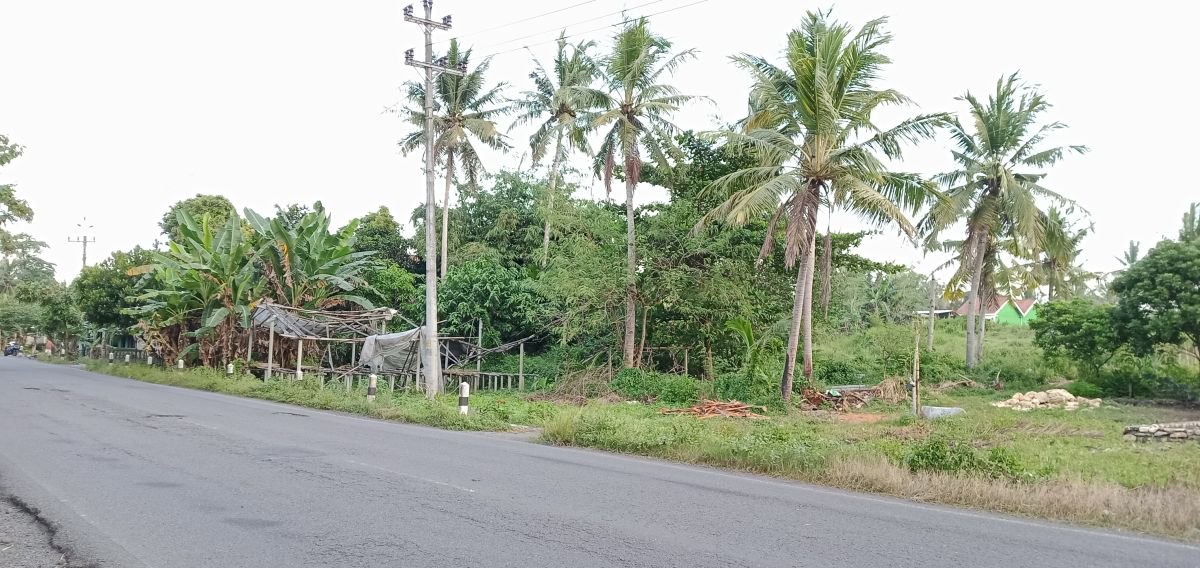Tanah pinggir Jalan Daendels Pantai Selatan