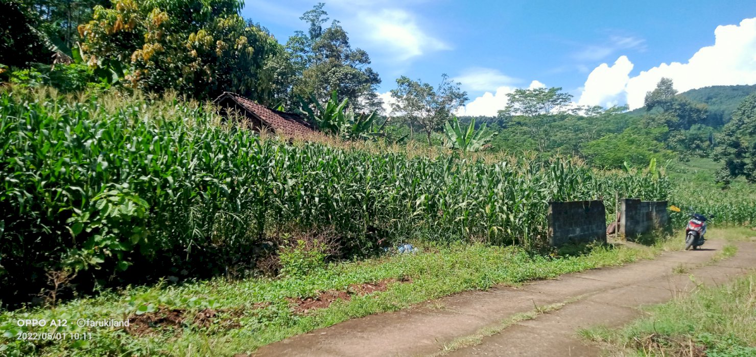 Cmn 200jt dapet tanah luas 1000mÂ²