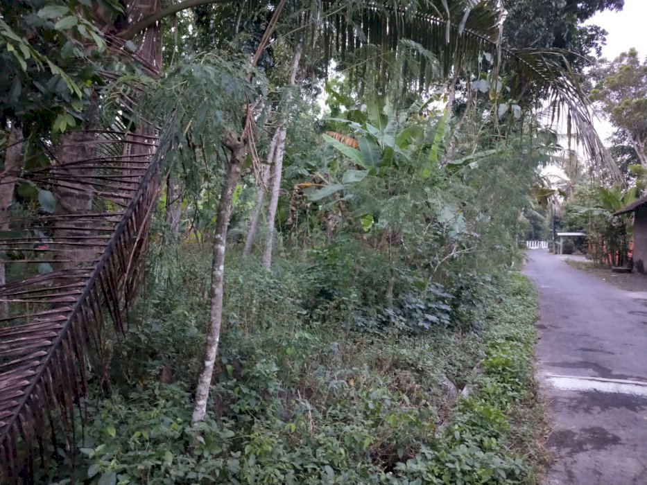 DI JUAL - Tanah di Bendungan Wates