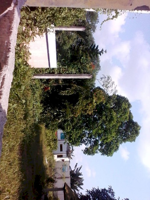 Dijual tanah depan jalan provinsi