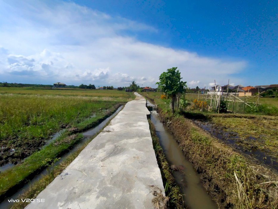 Dijual tanah  lingkungan cluster villa berlokasi di cemagi view pantai