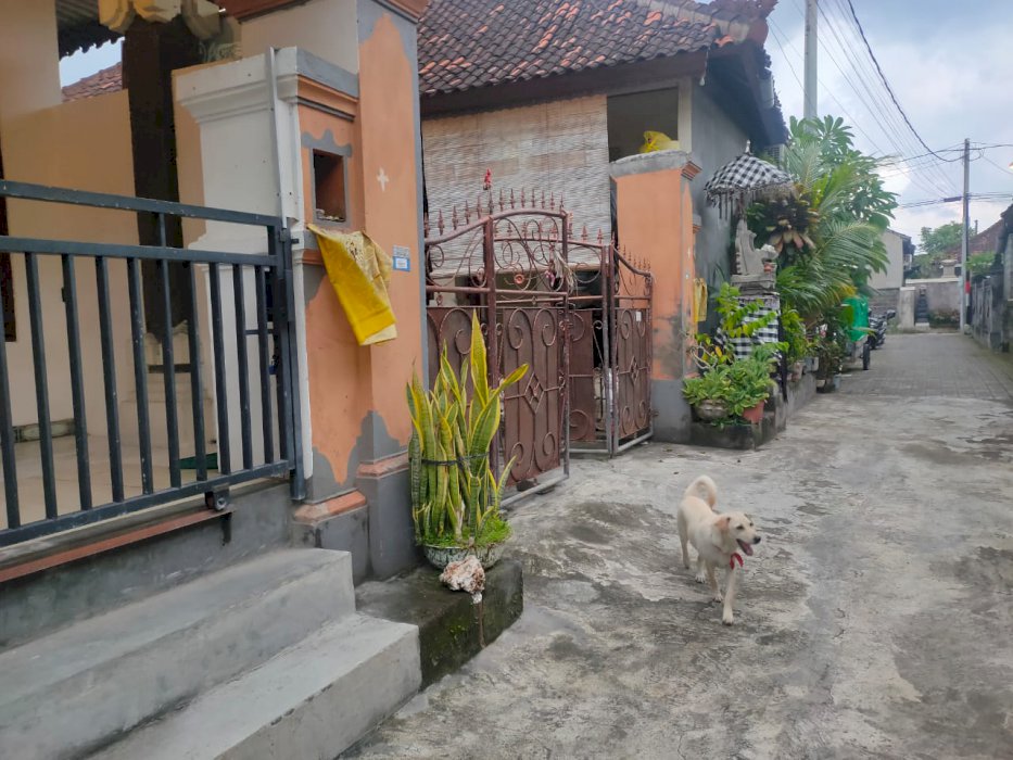 Dijual tanah bonus bangunan kawasan jl pasar Sindu  sanur