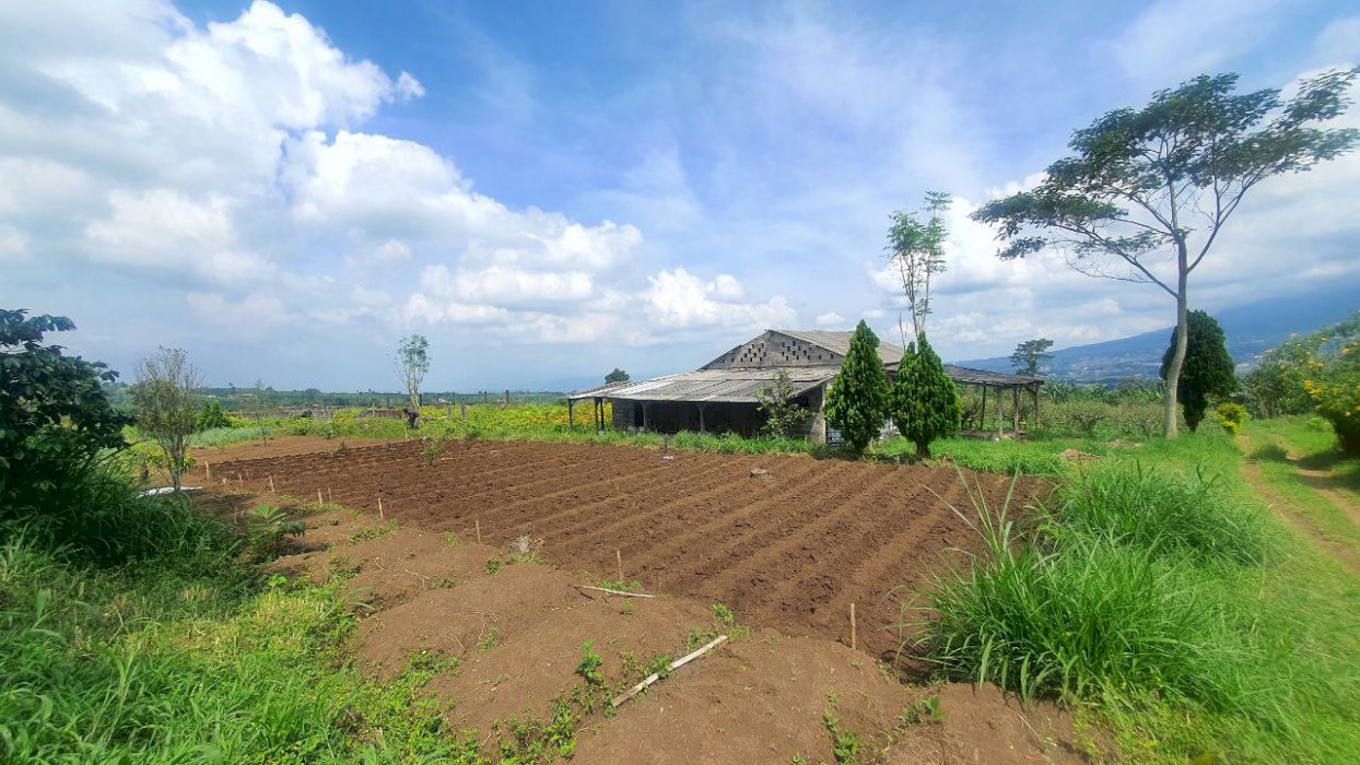 Tanah Kebun Murah Berlokasi di Desa Bulukerto Bumiaji Kota Batu