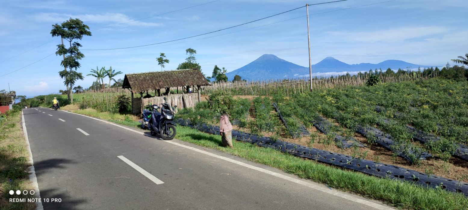 Dijual Tanah Dengan Vie 6 Gunung yang sangat Indah
