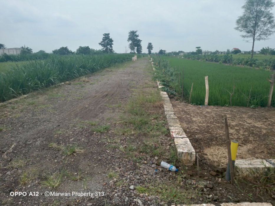 Tanah kavling kredit tanpa bunga di Menganti