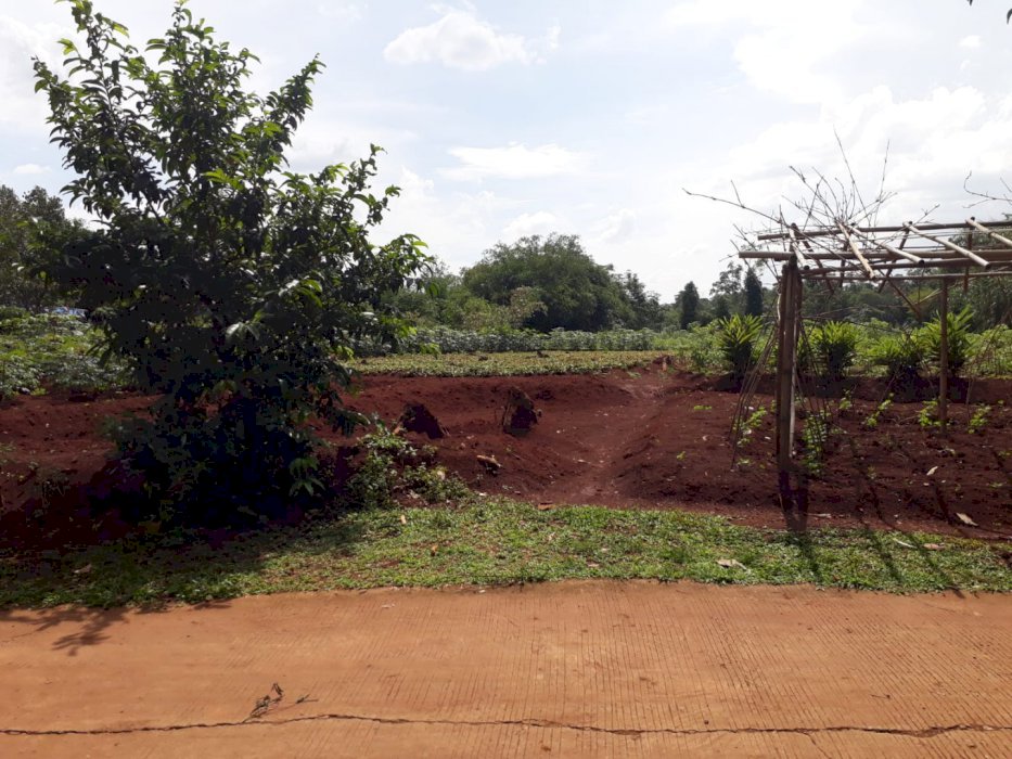  TANAH DI SETU KERTARAHAYU BEKASI KABUPATEN