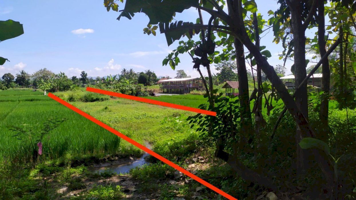 Dijual Cepat Tanah di Seyegan, Sleman, Yogyakarta