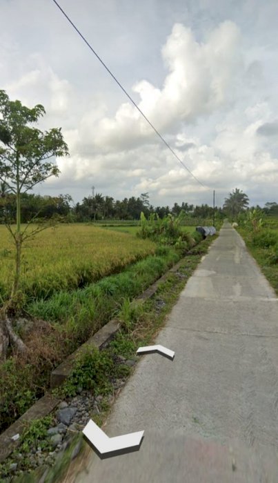 Tanah Sawah Pinggir Jalan SHM