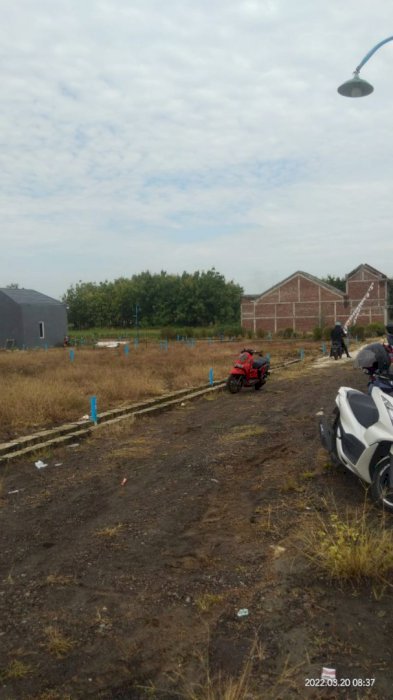 Tanah kavling Domas cash / kredit tanpa bunga