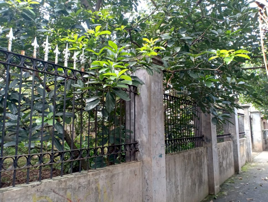 Dijual Tanah Sebrang Kampus Gunadarma Margonda Depok